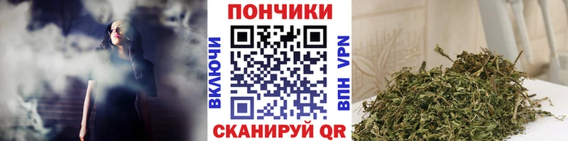 Купить закладки  Светлогорск  Марихуана марихуана 